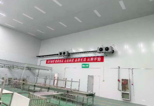 牛羊肉屠宰庫(kù)